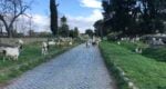 ebike tour rome