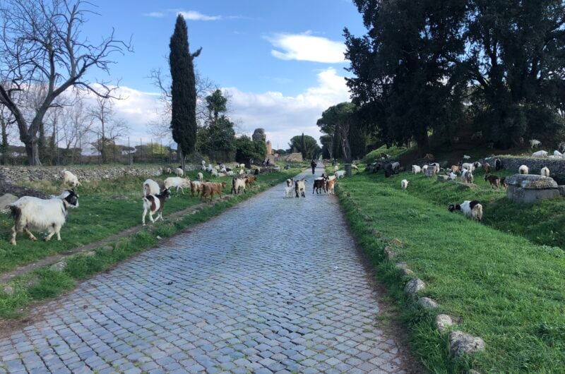 ebike tour rome