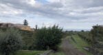 mount etna tour