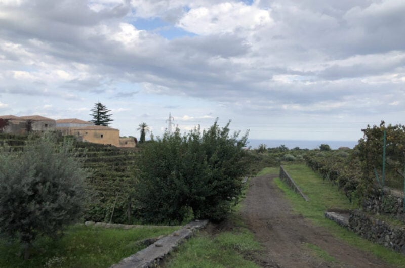 mount etna tour