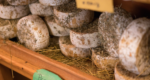 florence food tour