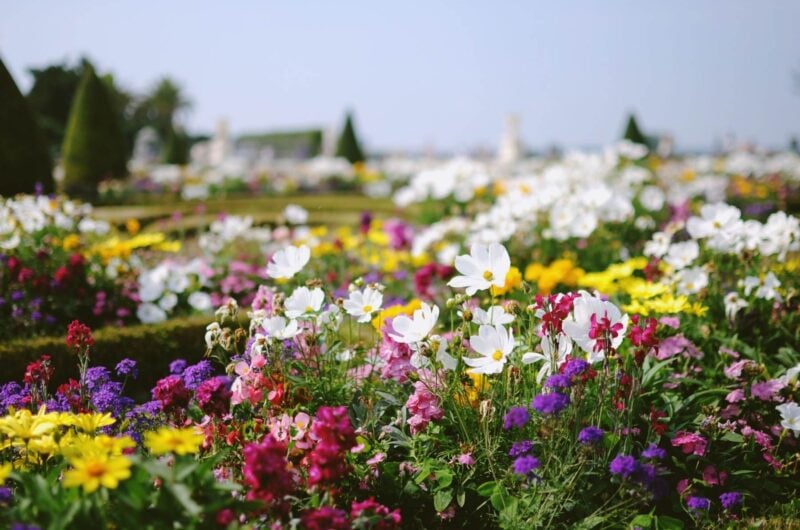 versailles and giverny tour