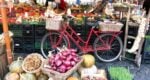 trastevere tour of rome