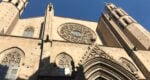 picasso tour barcelona