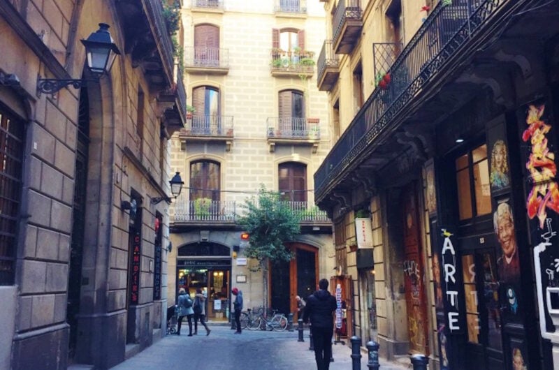 picasso tour barcelona livtours