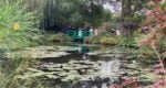 small image * monet garden