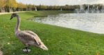 private versailles tour