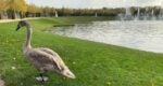 small image * versailles and giverny tour