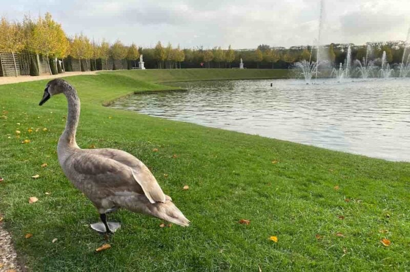 small image * versailles and giverny tour