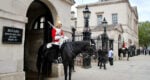 Full day tour of London Highlights | LivTours