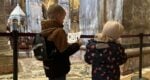 Venice Doge's Palace Kid Friendly Family Tour with Activity Booklet