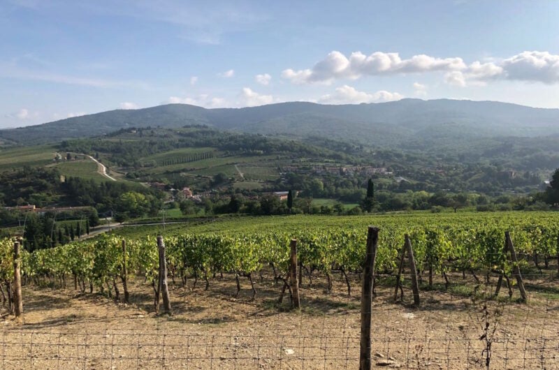chianti wine tour from florence