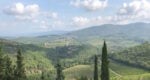 chianti wine tour from florence