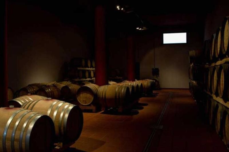 Mount Etna Wine Tour