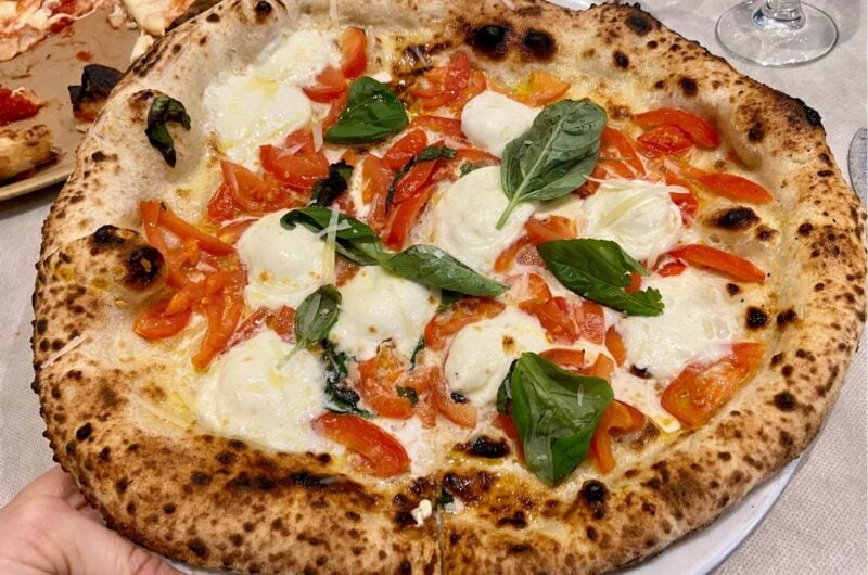 a pizza with tomatoes, mozzarella and basil