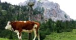 Hiking in the Dolomites