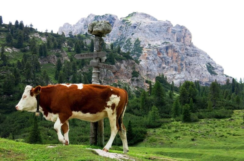 Hiking in the Dolomites