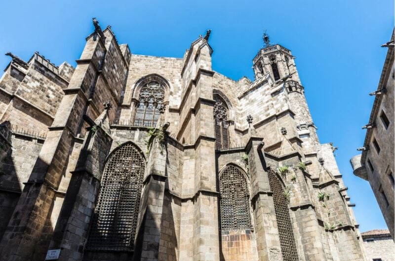 LivTours Private Barcelona Shore Excursion Full Day Experience Gothic Quarter