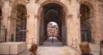 colosseum gladiators gate guided tour arena