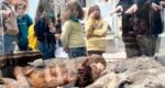 Kids British Museum Interactive Family activities tour