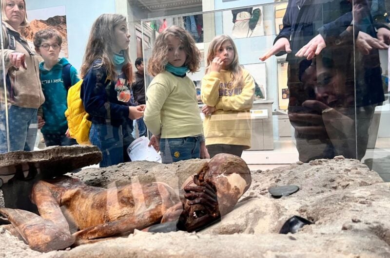Kids British Museum Interactive Family activities tour