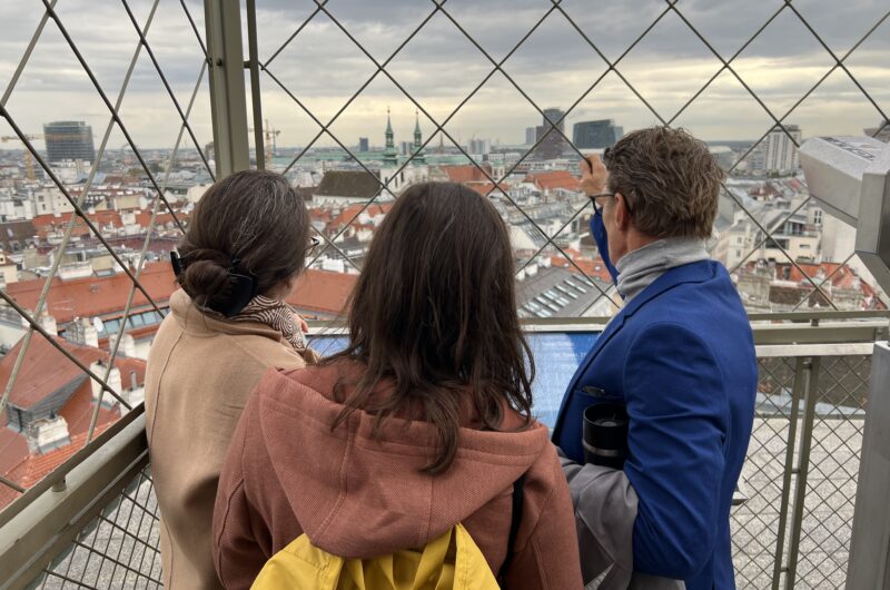 Highlights of Vienna with Cathedral Tower | Private Walking Tour LivTours St Stephen's Cathedral