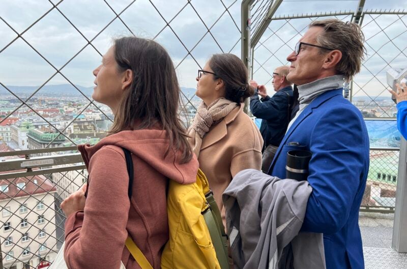 Highlights of Vienna with Cathedral Tower | Private Walking Tour LivTours St Stephen's Cathedral