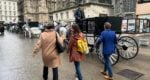 Highlights of Vienna with Cathedral Tower | Private Walking Tour LivTours
