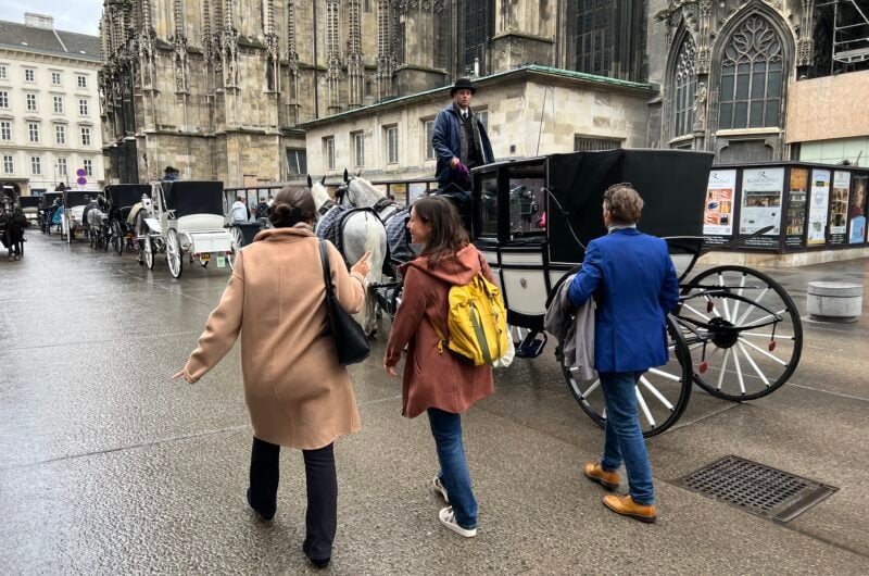 Highlights of Vienna with Cathedral Tower | Private Walking Tour LivTours