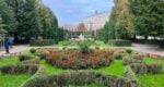 Highlights of Vienna with Cathedral Tower | Private Walking Tour LivTours