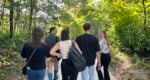 Flavors of Salzburg | Private Food Tour LivTours