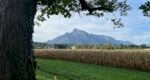 Scenic Surrounds of Salzburg | Private Bike Tour LivTours