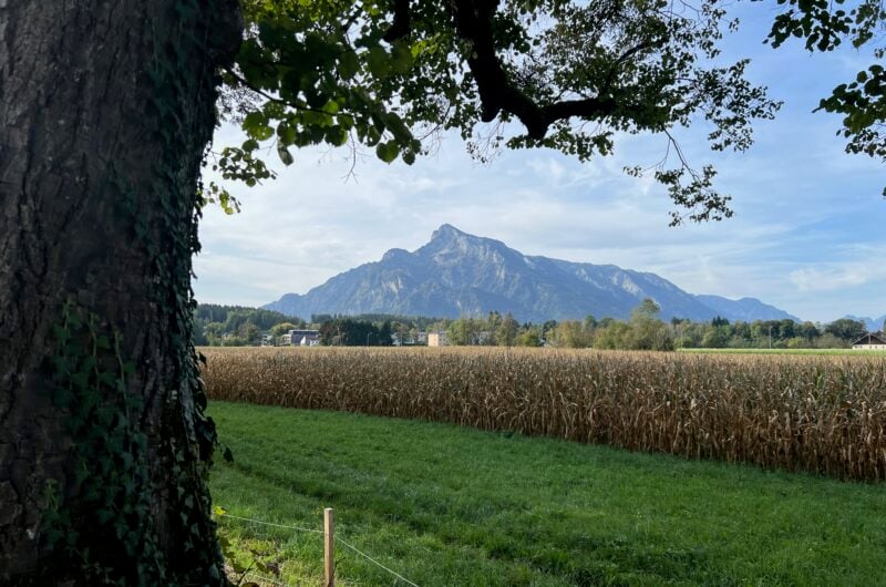 Scenic Surrounds of Salzburg | Private Bike Tour LivTours