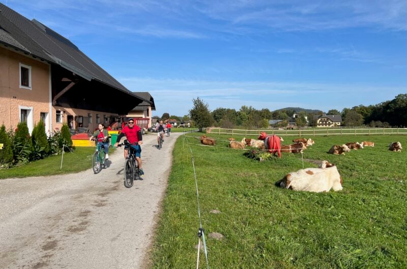 Scenic Surrounds of Salzburg | Private Bike Tour LivTours