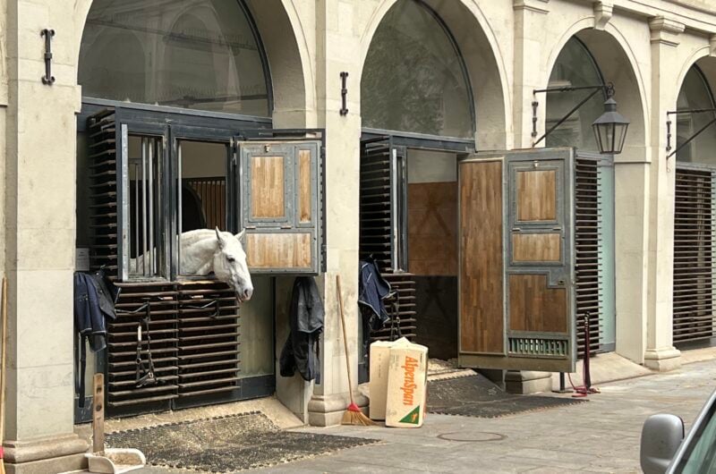 Highlights of Vienna with Cathedral Tower | Private Walking Tour LivTours Josefsplatz, stables of the Lipizzaner horses