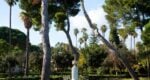 National Etruscan Museum | Villa Giulia Private Tour