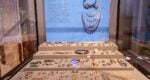 Neues Museum Berlin Private tour LivTours