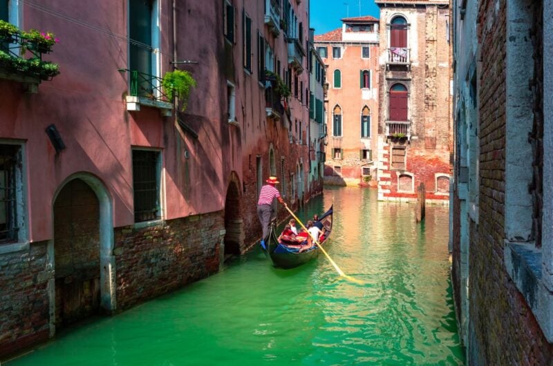St. Mark's & Doge's Palace Tour with Venice Highlights Combo | Semi Private Liv Tours Walking Tour