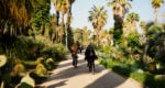 Barcelona tour on e-bikes of Montjuic