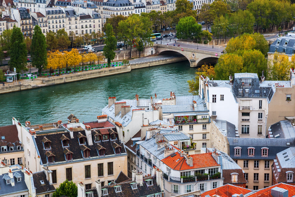 Ile de la Cite Paris Walking Tour | Semi-Private - LivTours