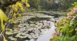 small image * versailles and giverny tour monet