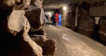 best paris catacombs tour livtours
