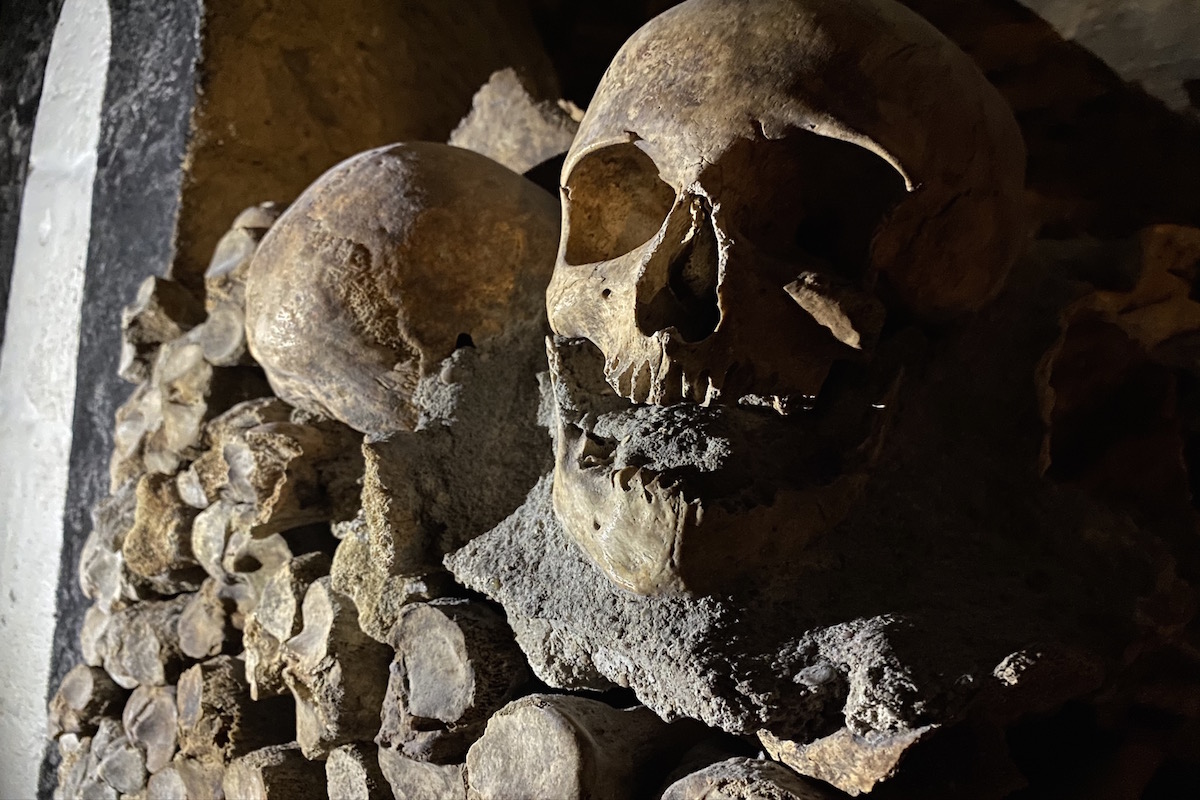 skulls in the Paris Catacombs
