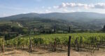 chianti wine tour from florence
