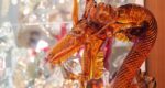 glass dragon made in Murano Italy Venice