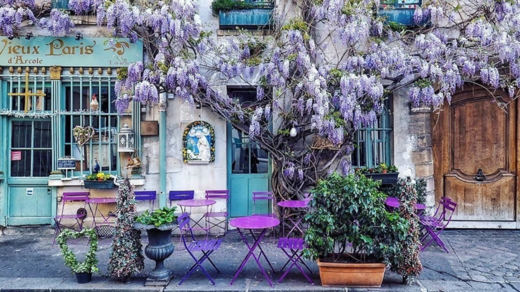 a Paris cafe covered in wisteria
