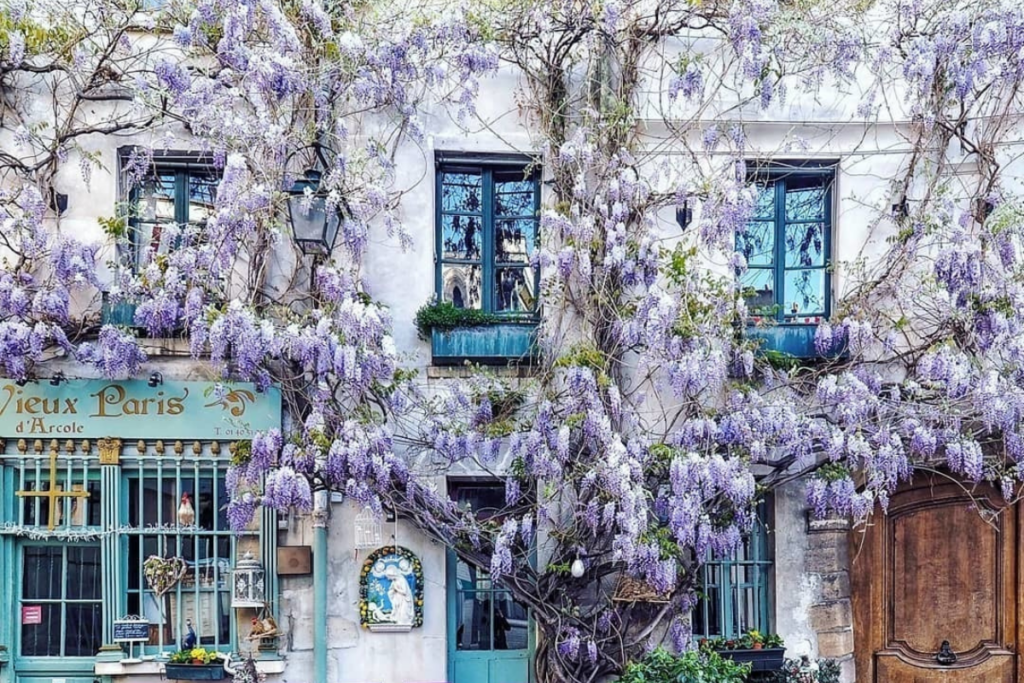 Best instagram spots in Paris