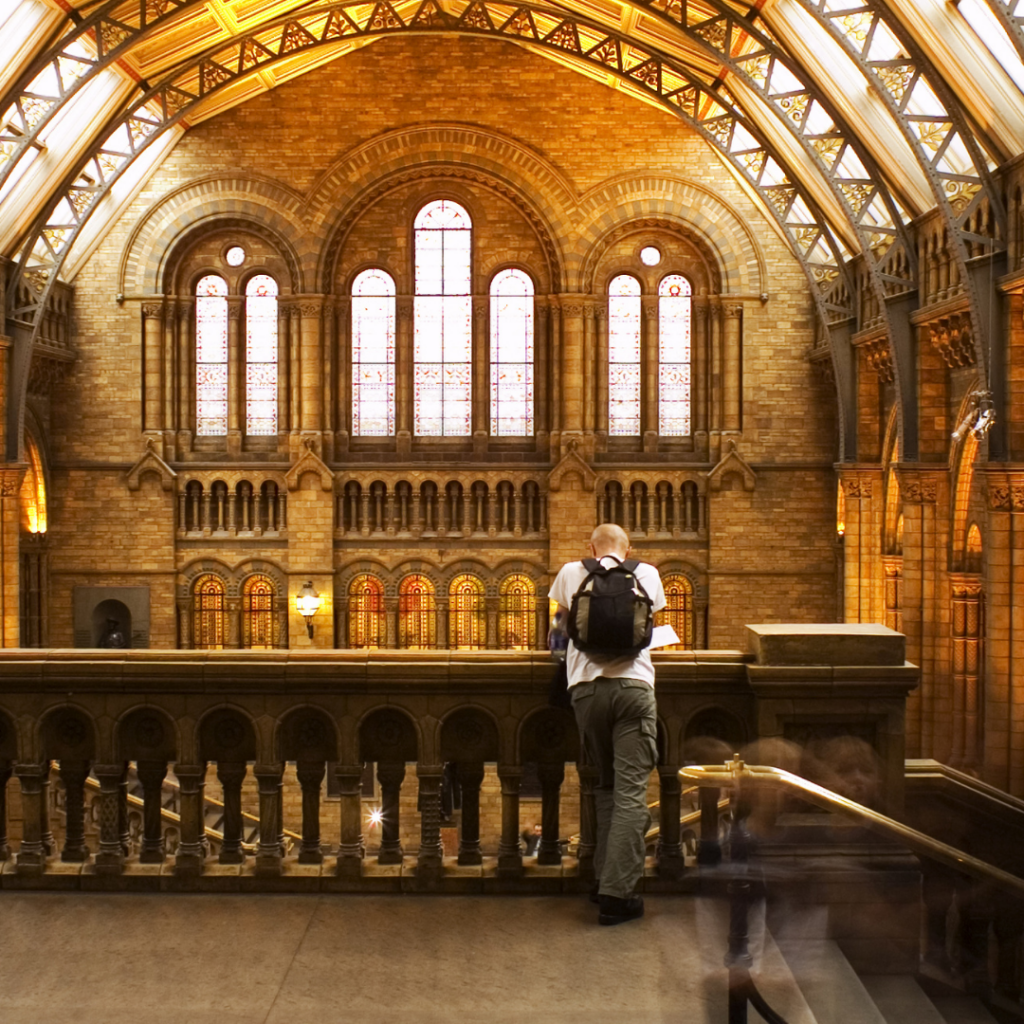 Inside the Natural History Museum