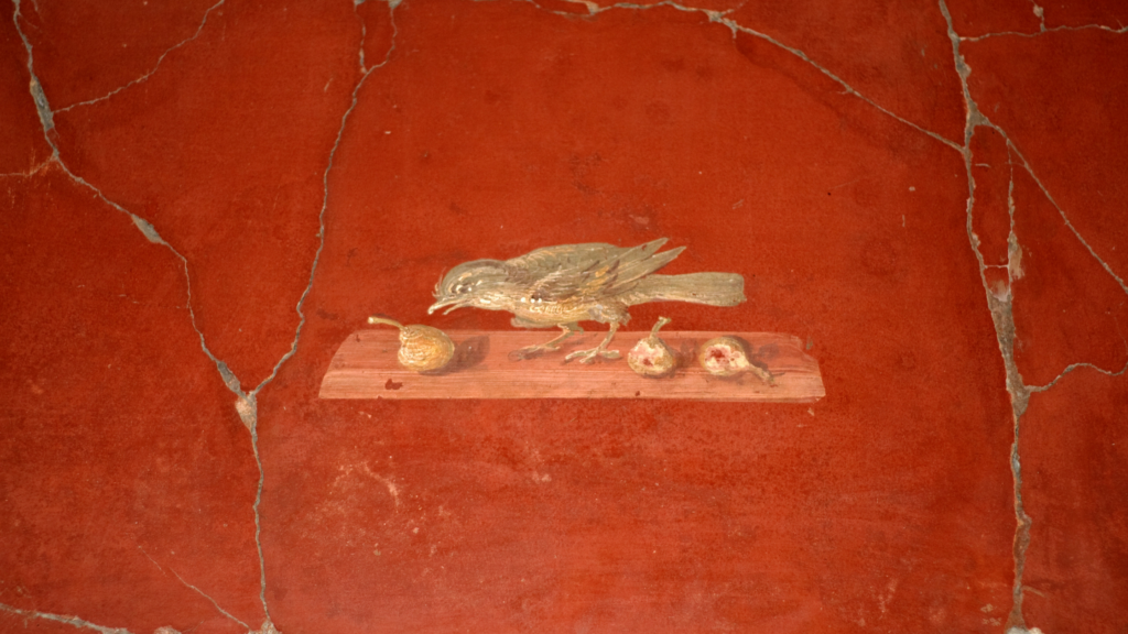 detail from a Roman wall painting of a small bird eating some fruit