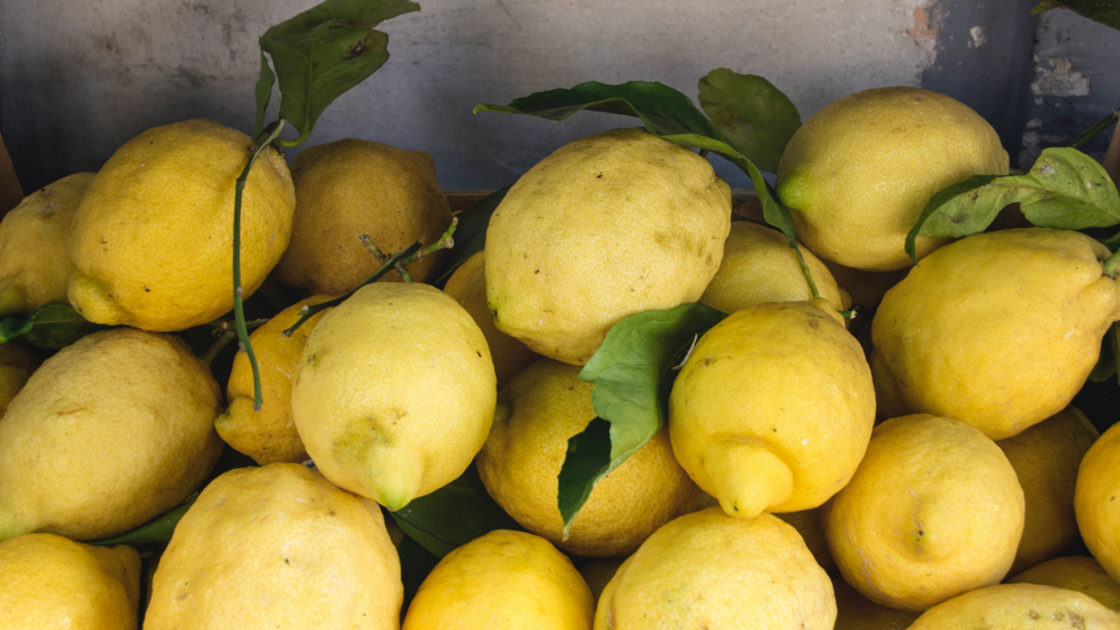 Amalfi lemons